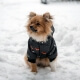 Зимний комбинезон куртка для маленьких собак Terry черный M
