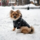 Зимний комбинезон куртка для маленьких собак Terry черный M